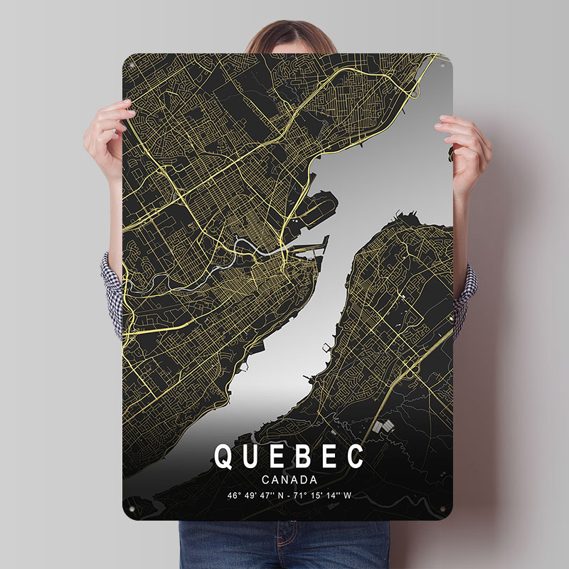 Quebec Silver City Map Printed - Retro Gaming Quebec のレビューと価格
